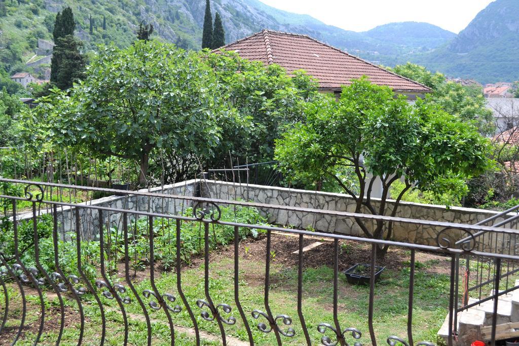 Apartments Villa Marta - Begovic Kotor Zewnętrze zdjęcie